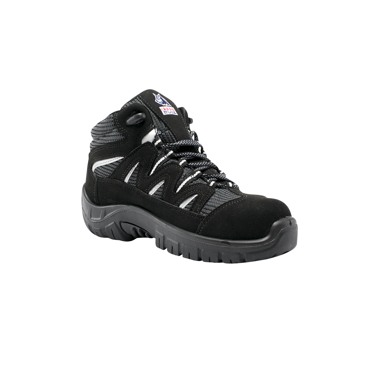 DARWIN - TPU